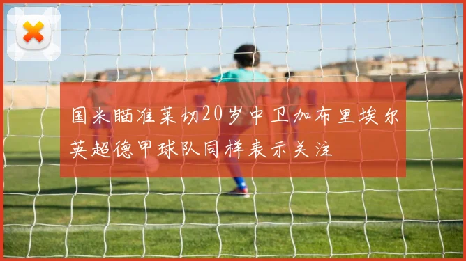 国米瞄准莱切20岁中卫加布里埃尔英超德甲球队同样表示关注
