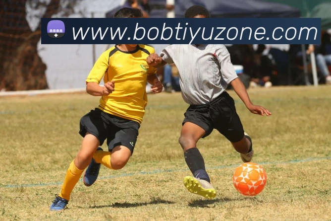 BOB体育发展历程