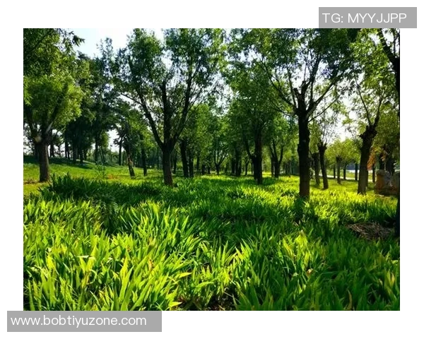 德科祝贺阿尔巴职业生涯圆满结束期待他未来的辉煌成就