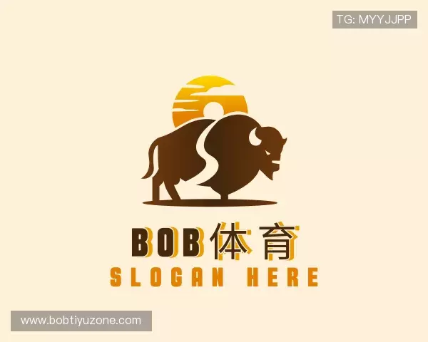 关于bob体育